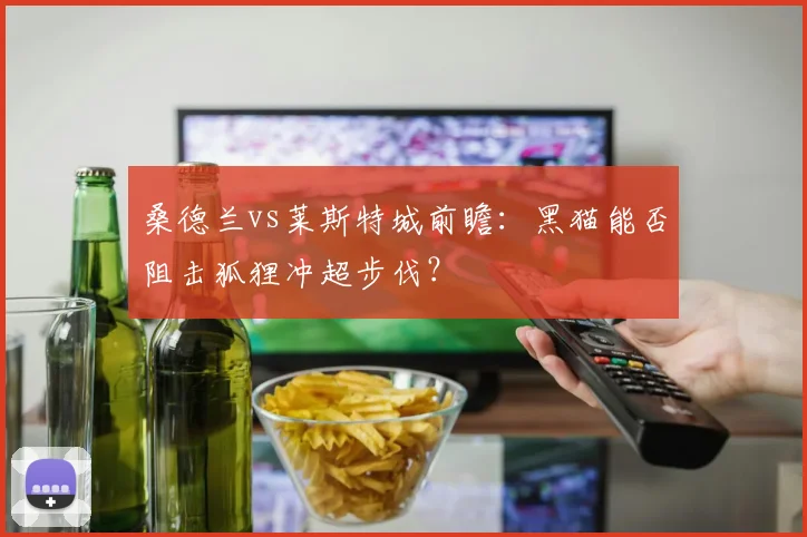 桑德兰vs莱斯特城前瞻：黑猫能否阻击狐狸冲超步伐？