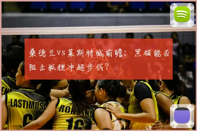 桑德兰vs莱斯特城前瞻:黑猫能否阻击狐狸冲超步伐?