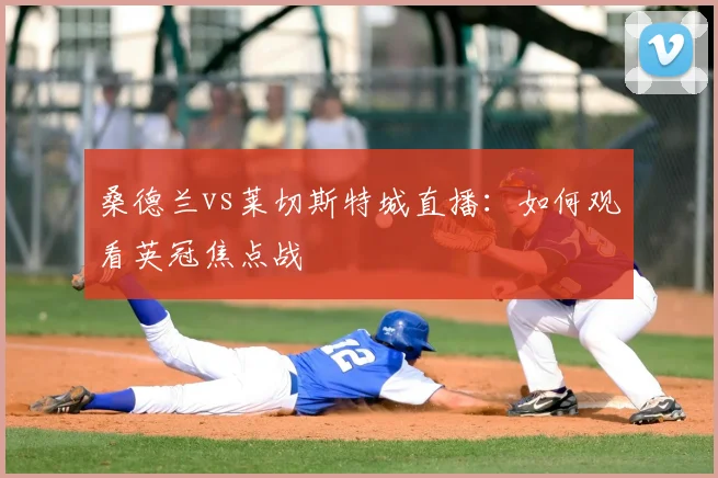 桑德兰vs莱切斯特城直播：如何观看英冠焦点战