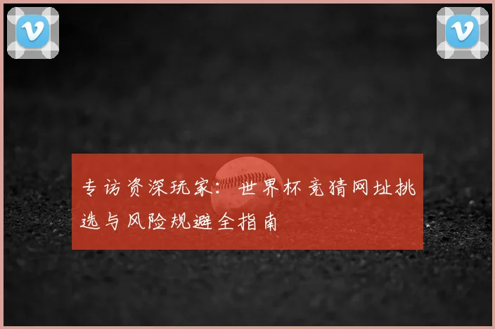 专访资深玩家:世界杯竞猜网址挑选与风险规避全指南