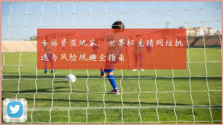 专访资深玩家:世界杯竞猜网址挑选与风险规避全指南