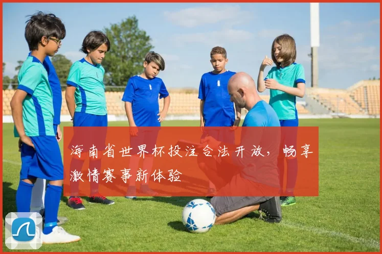 海南省世界杯投注合法开放,畅享激情赛事新体验