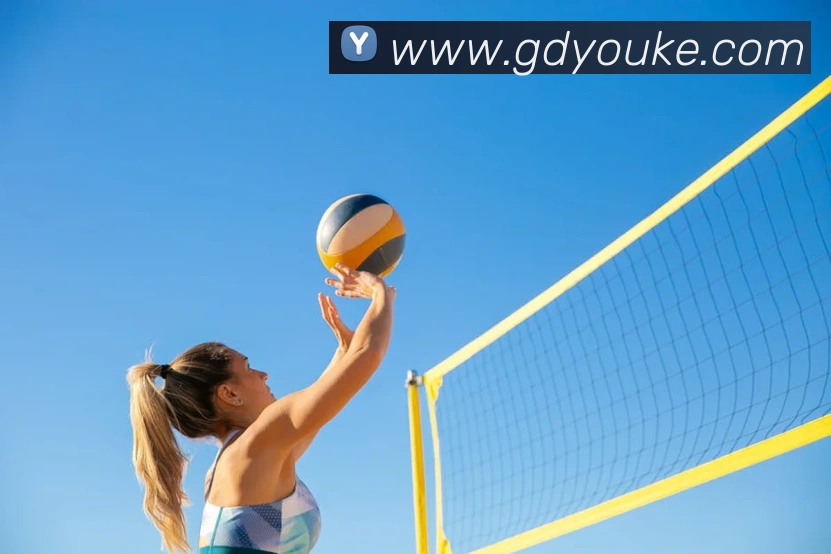 球友体育官网登录入口APP 封面图